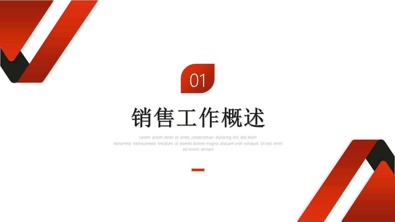 工作总结 (17).pptx